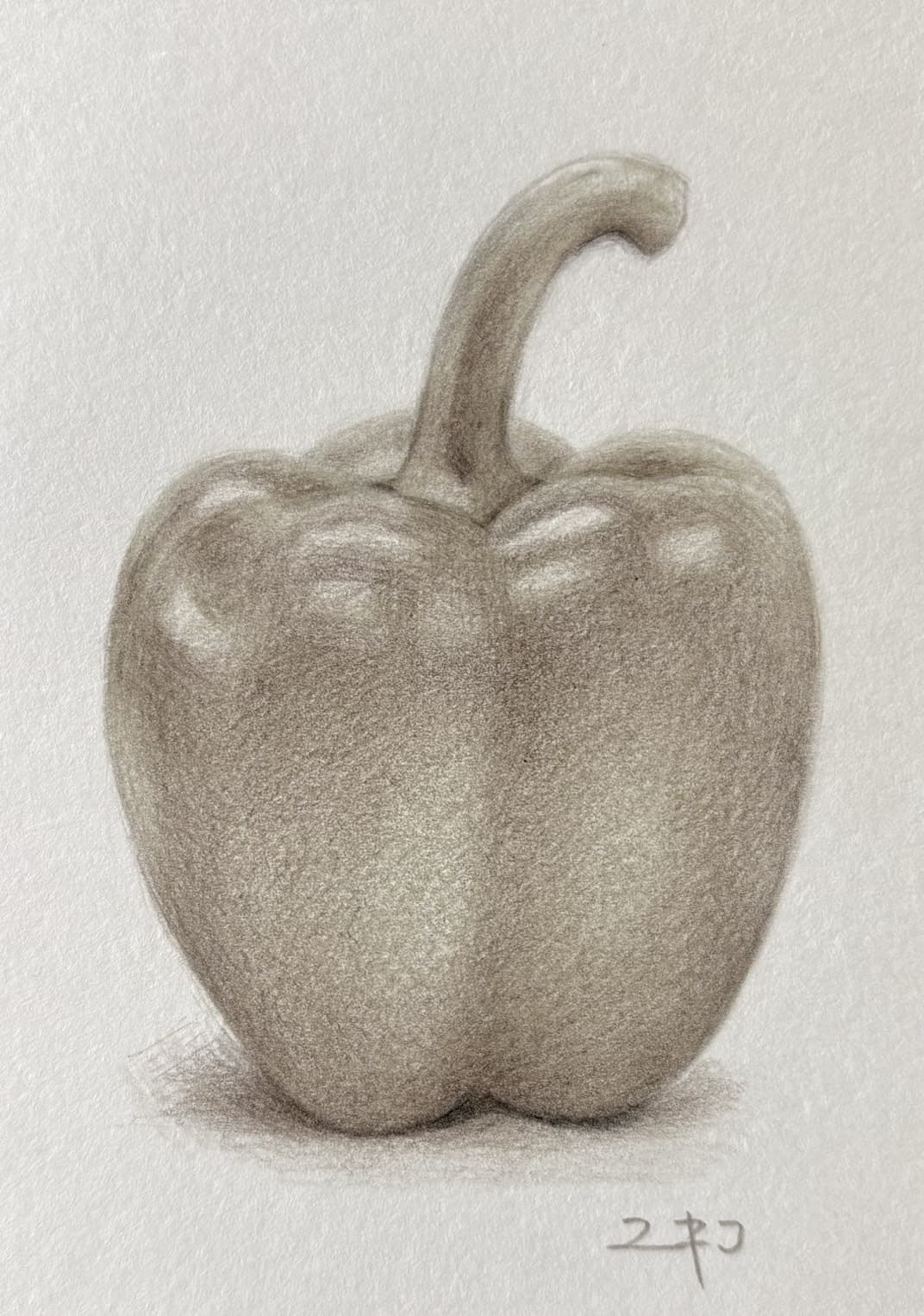 ひまわり画塾　デッサン