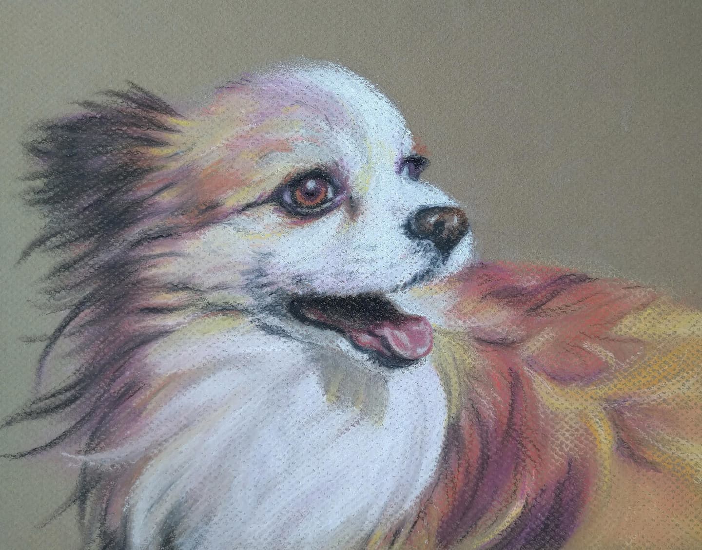 鈴木ユキコ作品